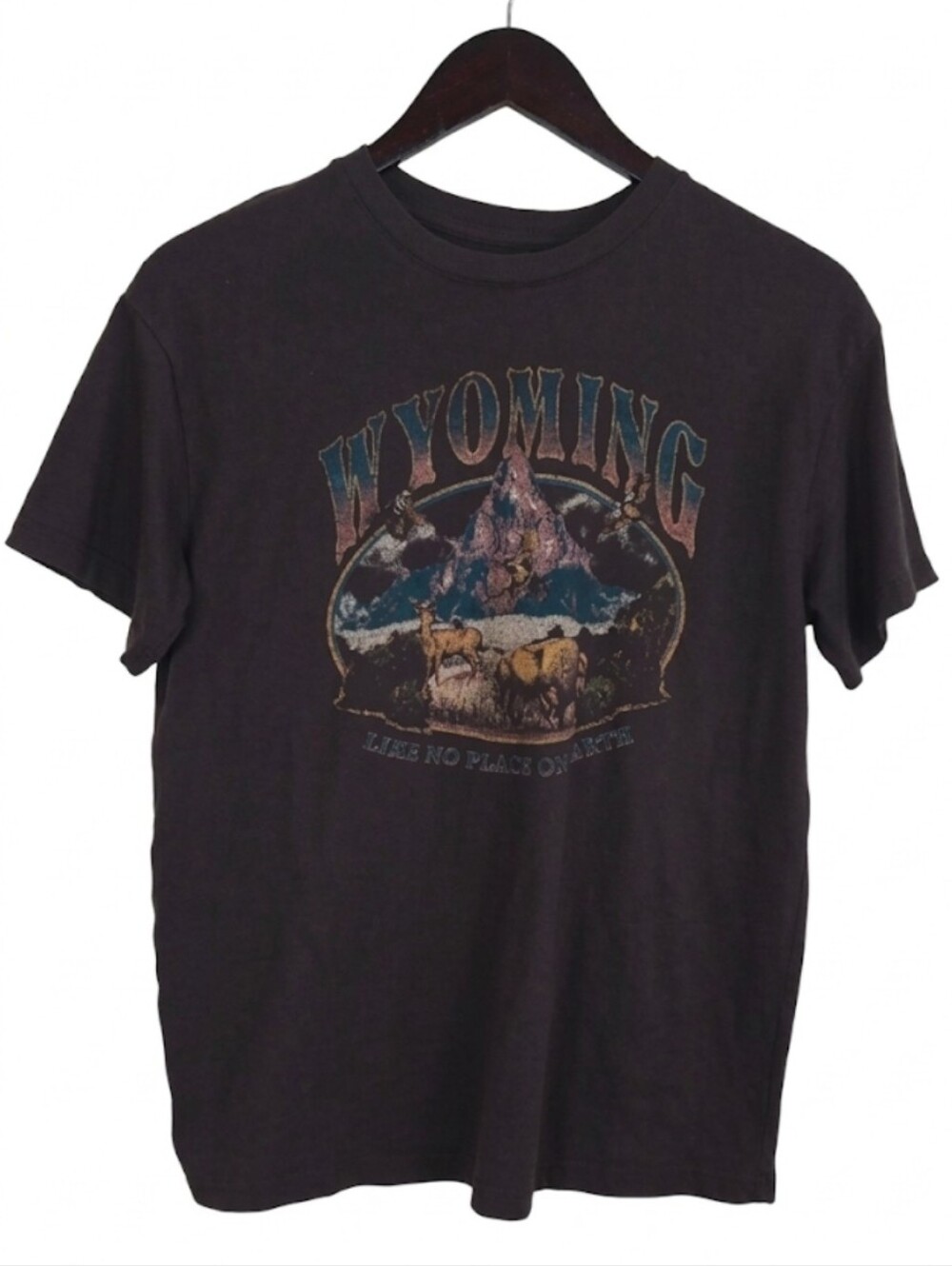 Fifth Sun Wyoming graphic tee